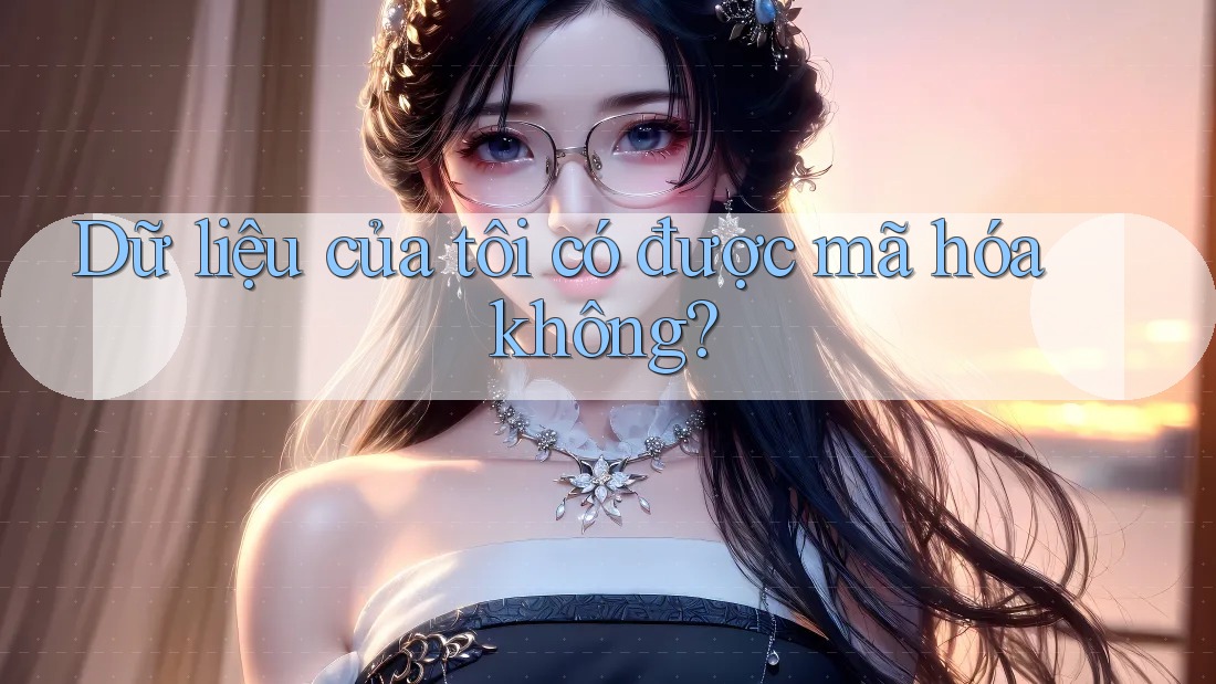 Dữ liệu của tôi có được mã hóa không? Dữ liệu của tôi có được mã hóa không?