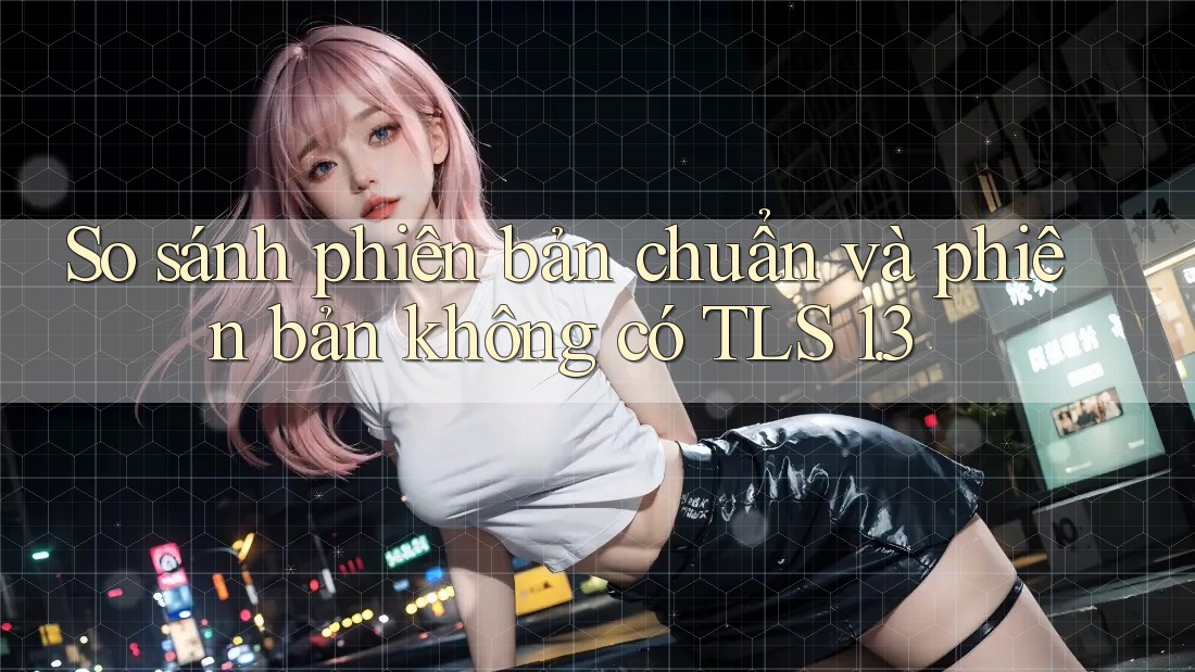 So sánh phiên bản chuẩn và phiên bản không có TLS 1. 3 So sánh phiên bản chuẩn và phiên bản không có TLS 1. 3