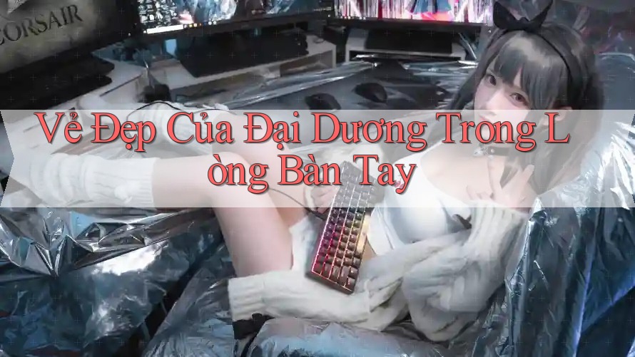 Vẻ Đẹp Của Đại Dương Trong Lòng Bàn Tay Vẻ Đẹp Của Đại Dương Trong Lòng Bàn Tay